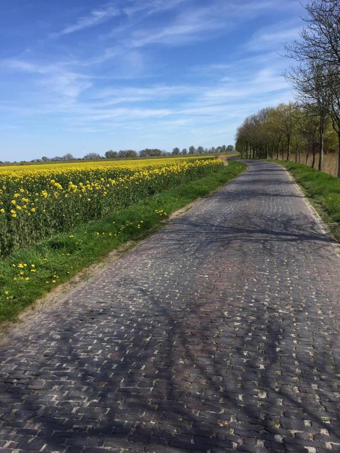 Ausguck